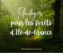 Communiqué : plaidoyer pour les forêts publiques de l’Île-de-France